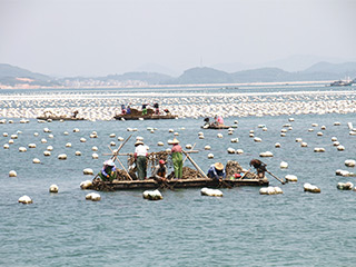 南京恒克生物科技有限公司